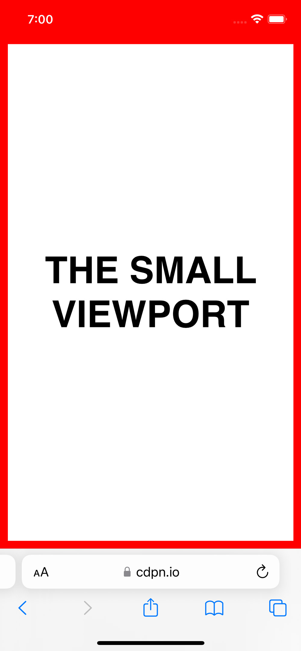 a red border marking the visible area of the viewport. Below address bar and other controls."